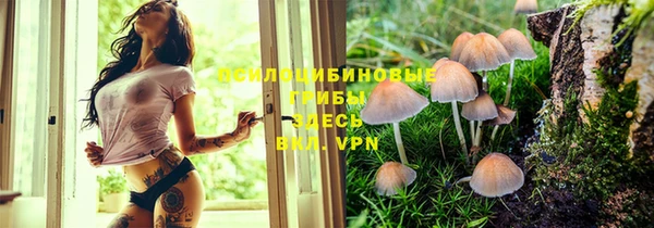скорость Нея