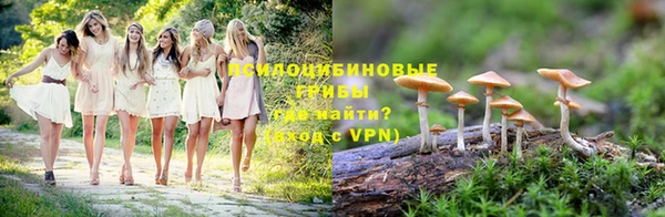 мяу мяу мука Навашино