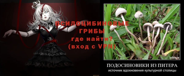соль курить ск Нефтекумск